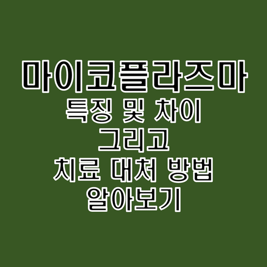 마이코플라즈마 호미니스 및 제니탈리움 특징과 차이점 그리고 치료 방법