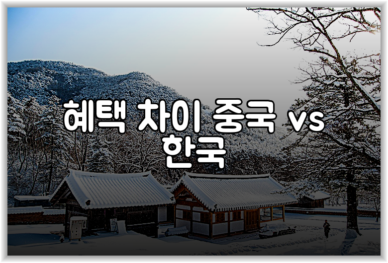혜택 차이 중국 vs 한국