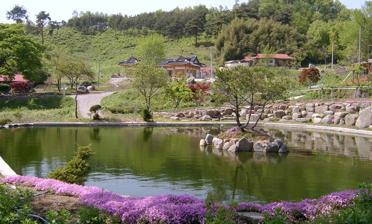 홍성 거북이마을3