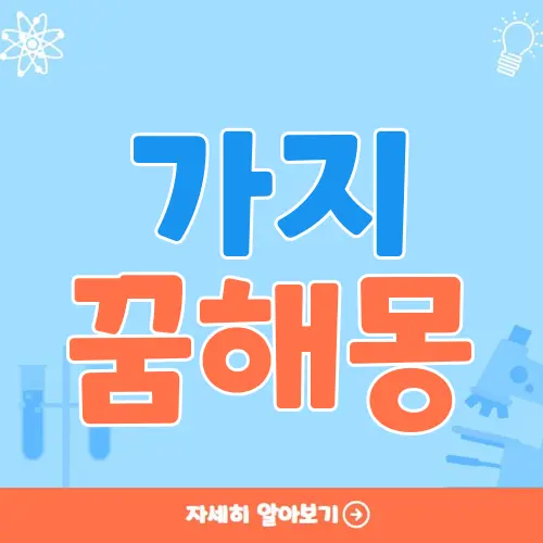 가지 꿈해몽