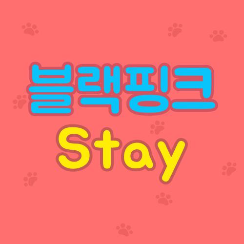 블랙핑크 Stay