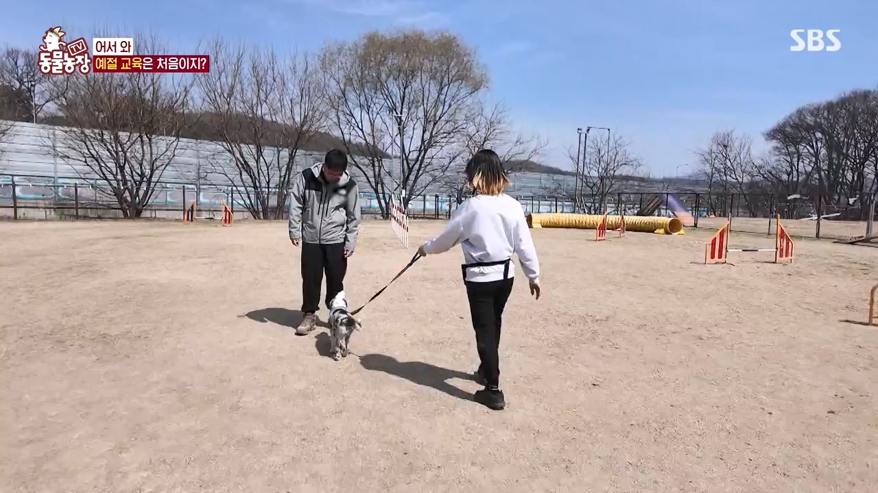 TV 동물농장.E1173.240527p-NEXT.mp4_20240526_155713.864.jpg