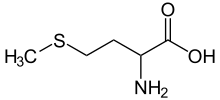 메티오닌(methionine)