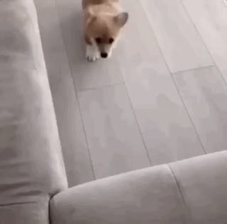  꼴까닥.gif