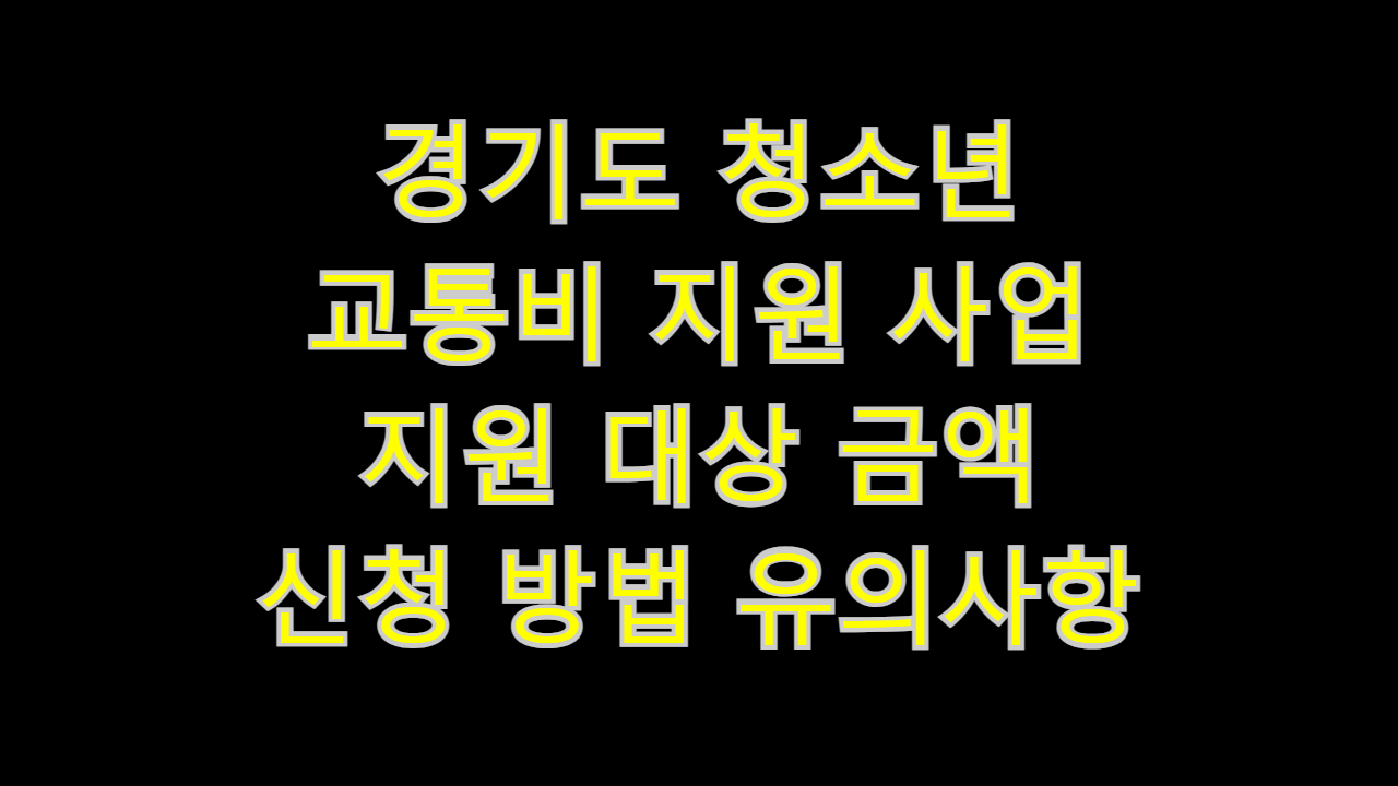  경기도 청소년 교통비 지원 사업 지원 대상 금액 신청 방법 유의사항