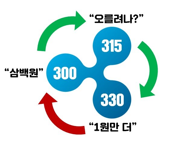  리플