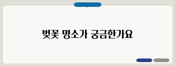 2025 벚꽃여행 추천! 국내·해외 벚꽃 핫플 모음