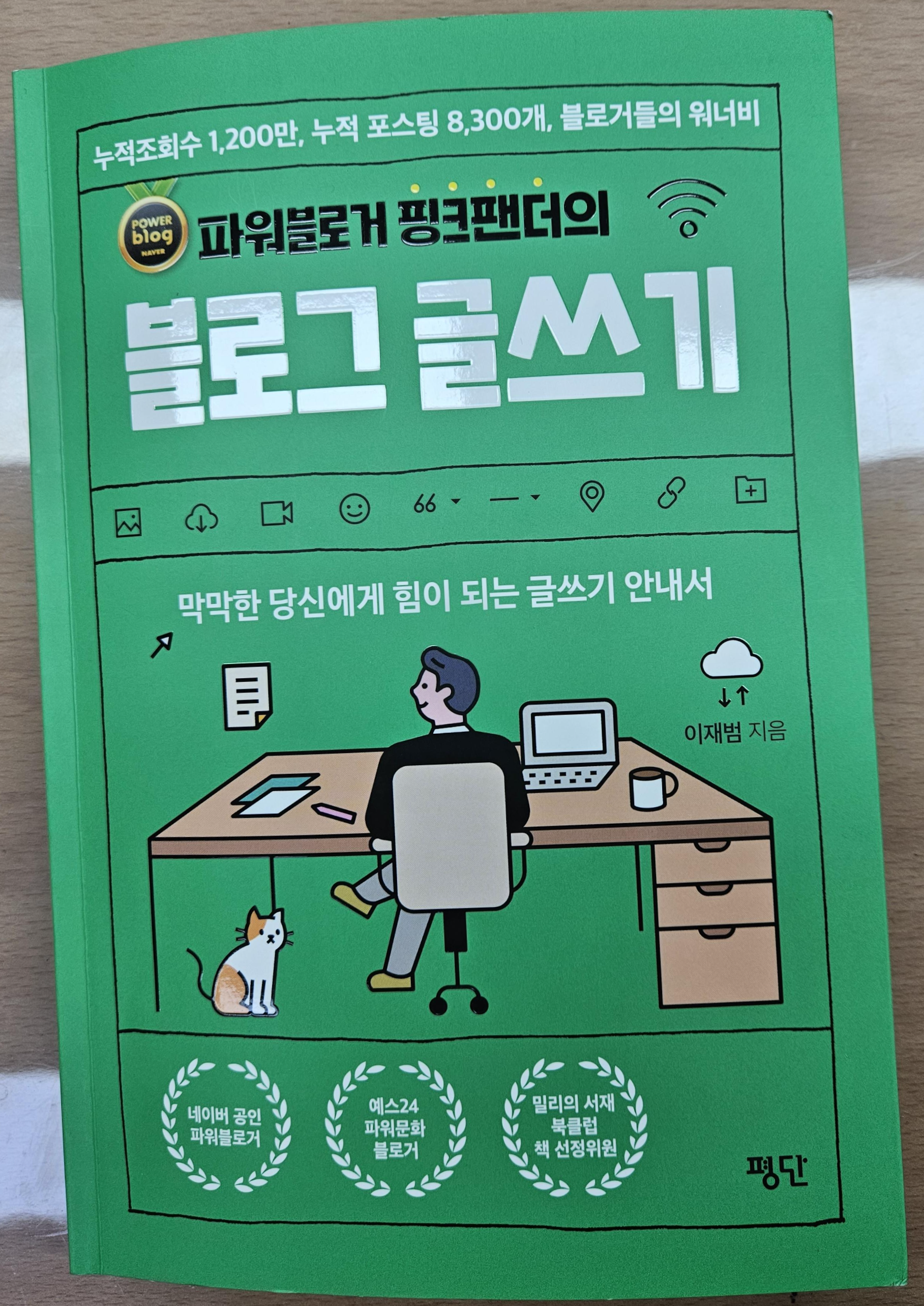  블로그 핑크팬더 따라잡기! [두 번째 글쓰기]