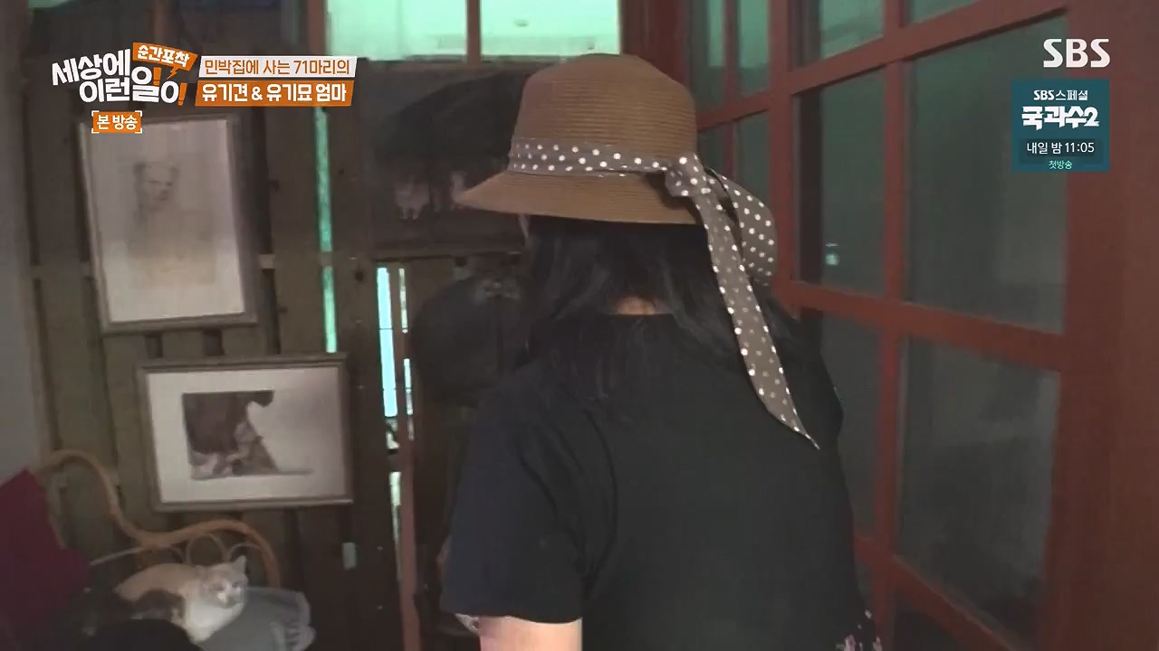 순간포착 세상에 이런일이.E1244.230903p-NEXT.mp4_20230903_173256.549.jpg