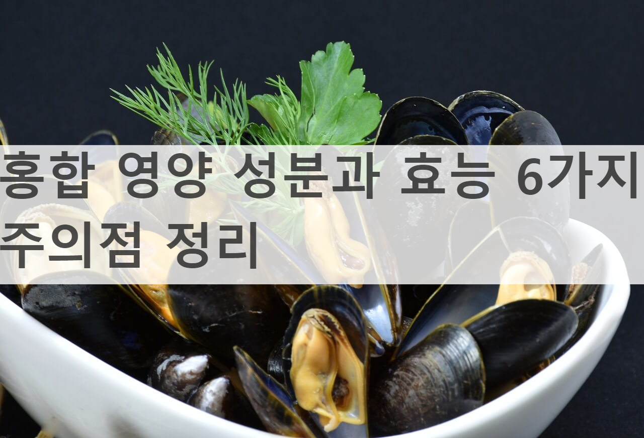 홍합 영양 성분과 효능 6가지&#44; 주의점 정리