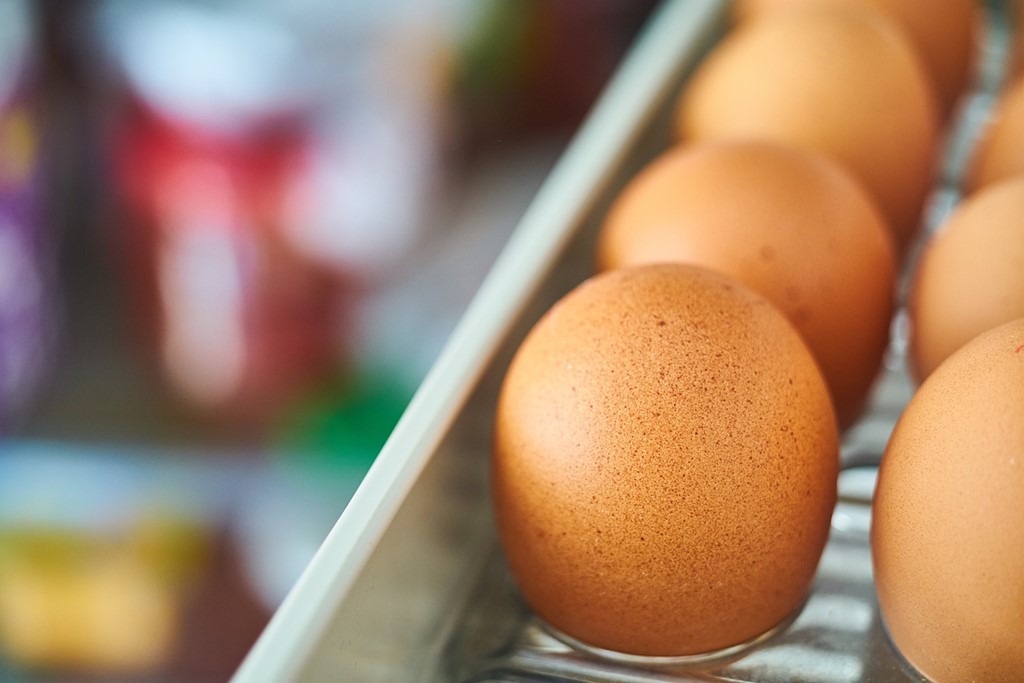 냉장보관중인-계란