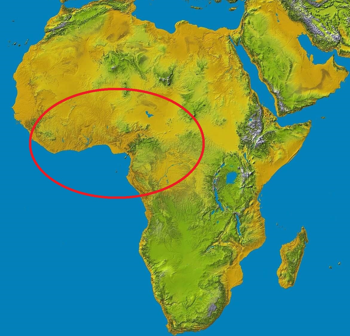 중서부 아프리카