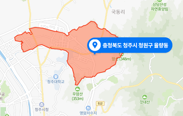  충북 청주시 청원구 율량동 음주운전 뺑소니 사고 (2020년 11월 20일)
