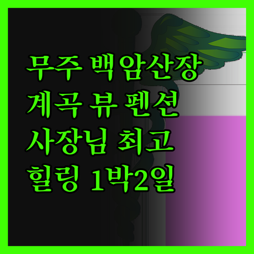 무주 백암산장펜션, 계곡 뷰에 반하다