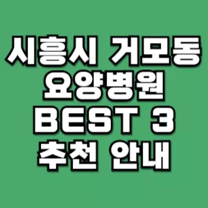 시흥시-거모동-요양병원