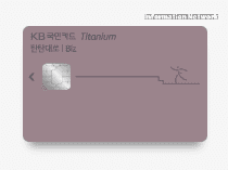 KB 탄탄대로 비즈 티타늄 카드