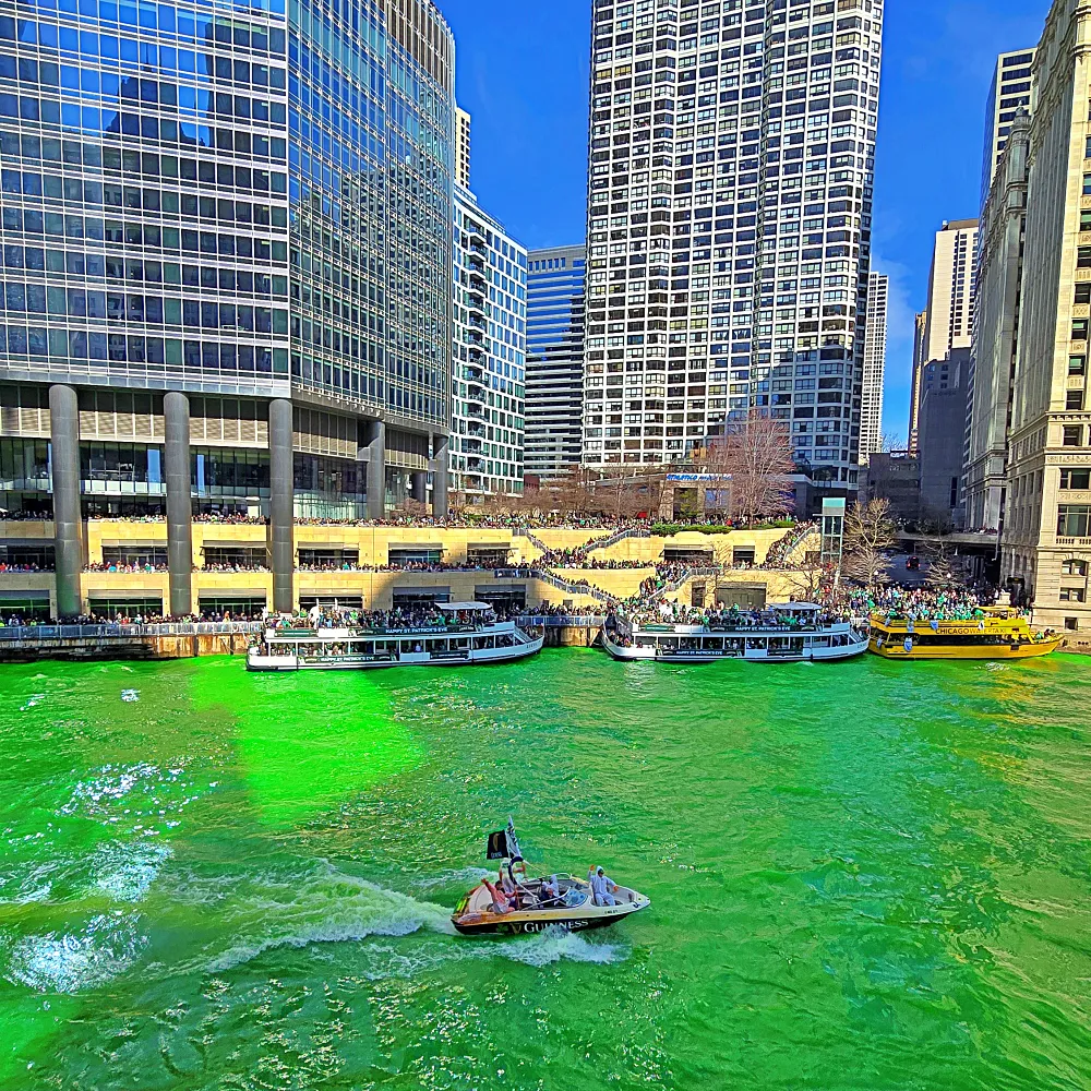 녹색으로 물든 시카고 리버