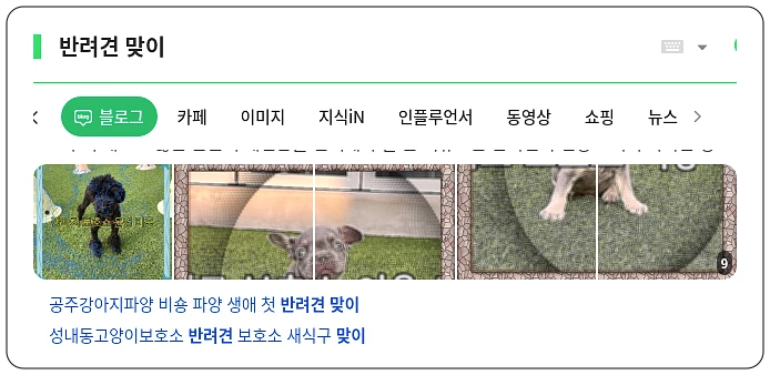 반려견 맞이_1_subsection