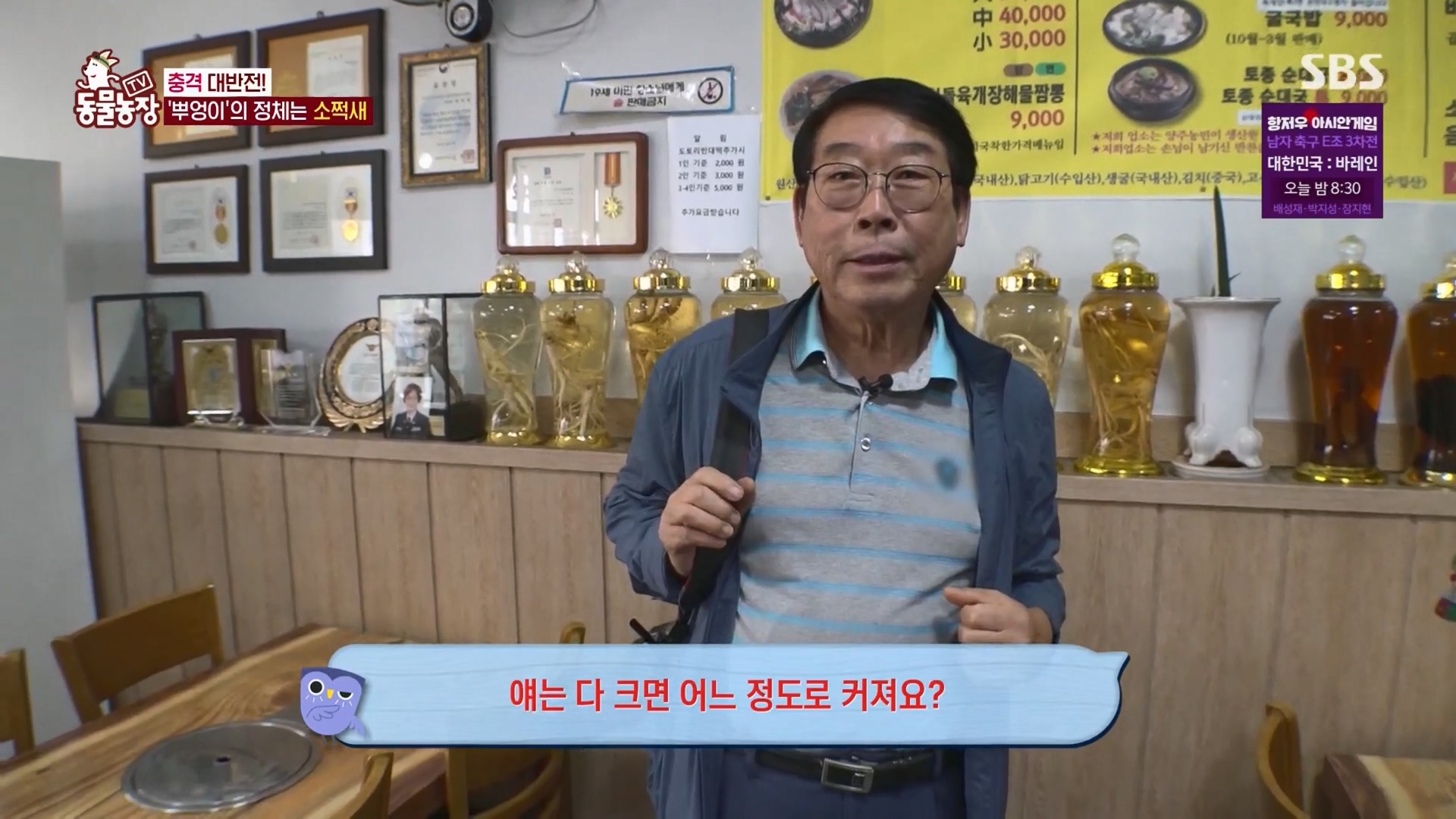 TV 동물농장.E1139.230924p.H264-F1RST.mp4_20230924_170643.510.jpg