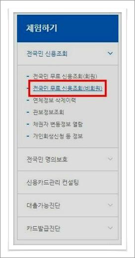 나이스지키미 신용등급 조회