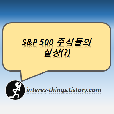  S&P 500 주식들의 실상(?)
