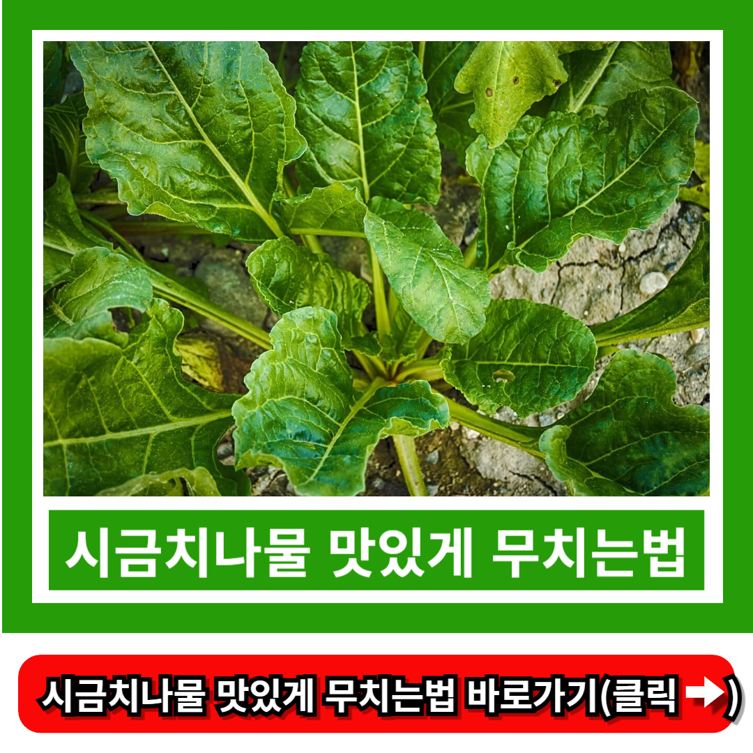 시금치나물 맛있게 무치는법