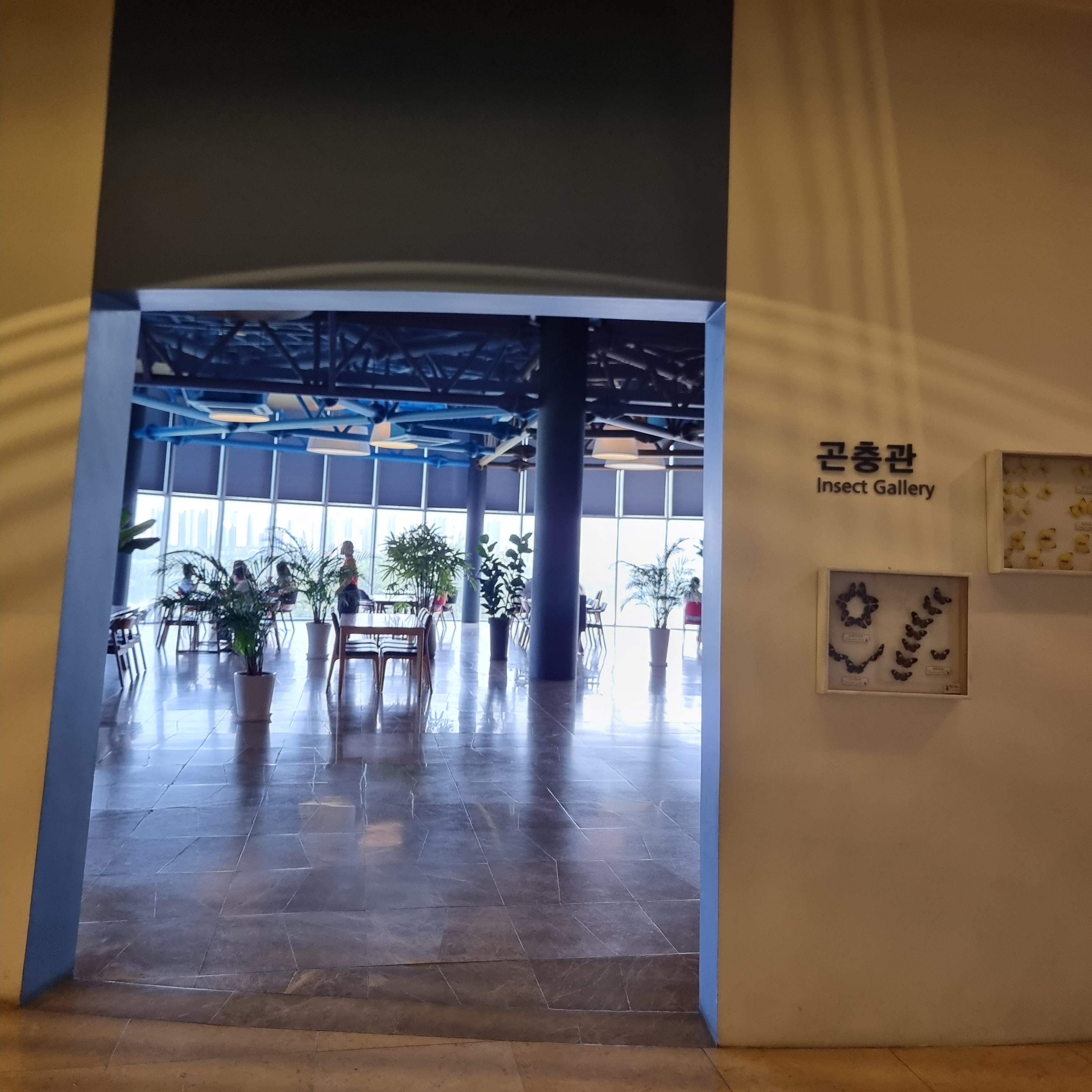 경기도 남양주 미호박물관, 아이랑 다녀오기 좋은 한강뷰 뮤지엄 카페 - undefined - | 남양주 미호박물관 위치 및 정보 경기도 남양주 미호박물관, 아이랑 다녀오기 좋은 한강뷰 뮤지엄 카페 - undefined - | 남양주 미호박물관 위치 및 정보