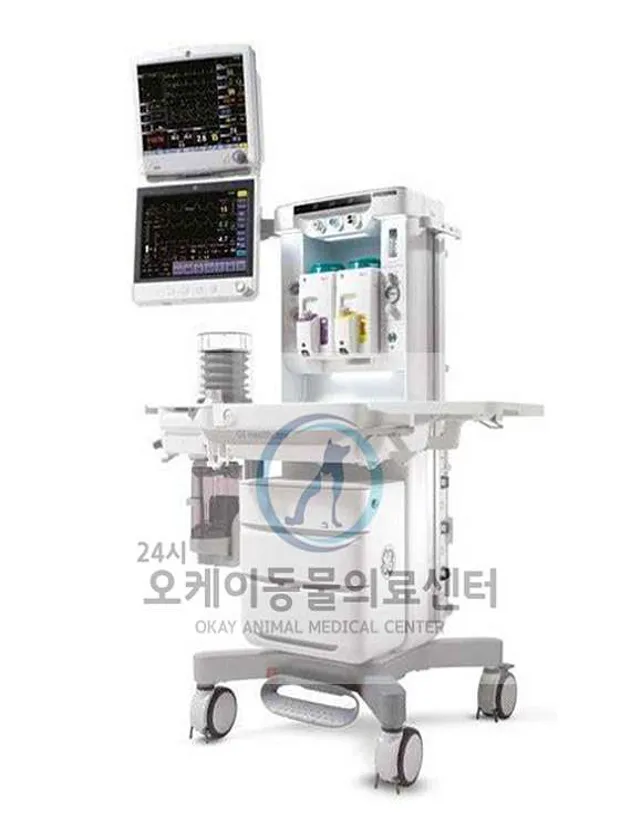 24시송도오케이동물의료센터