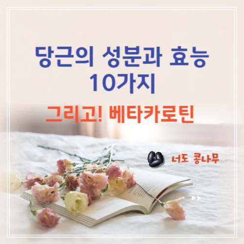 당근의성분과 효능&#44; 베타카로틴