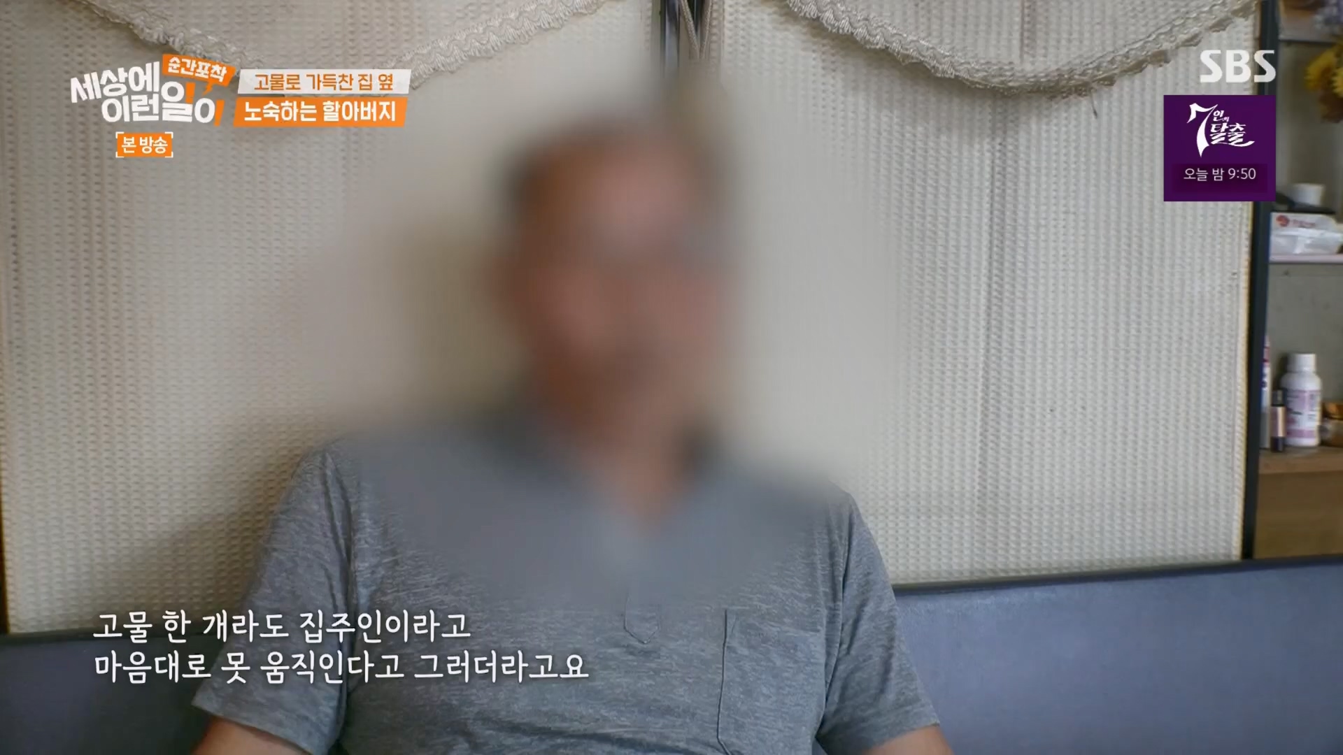순간포착 세상에 이런일이.E1247.230923p.H264-F1RST.mp4_20230924_152658.639.jpg