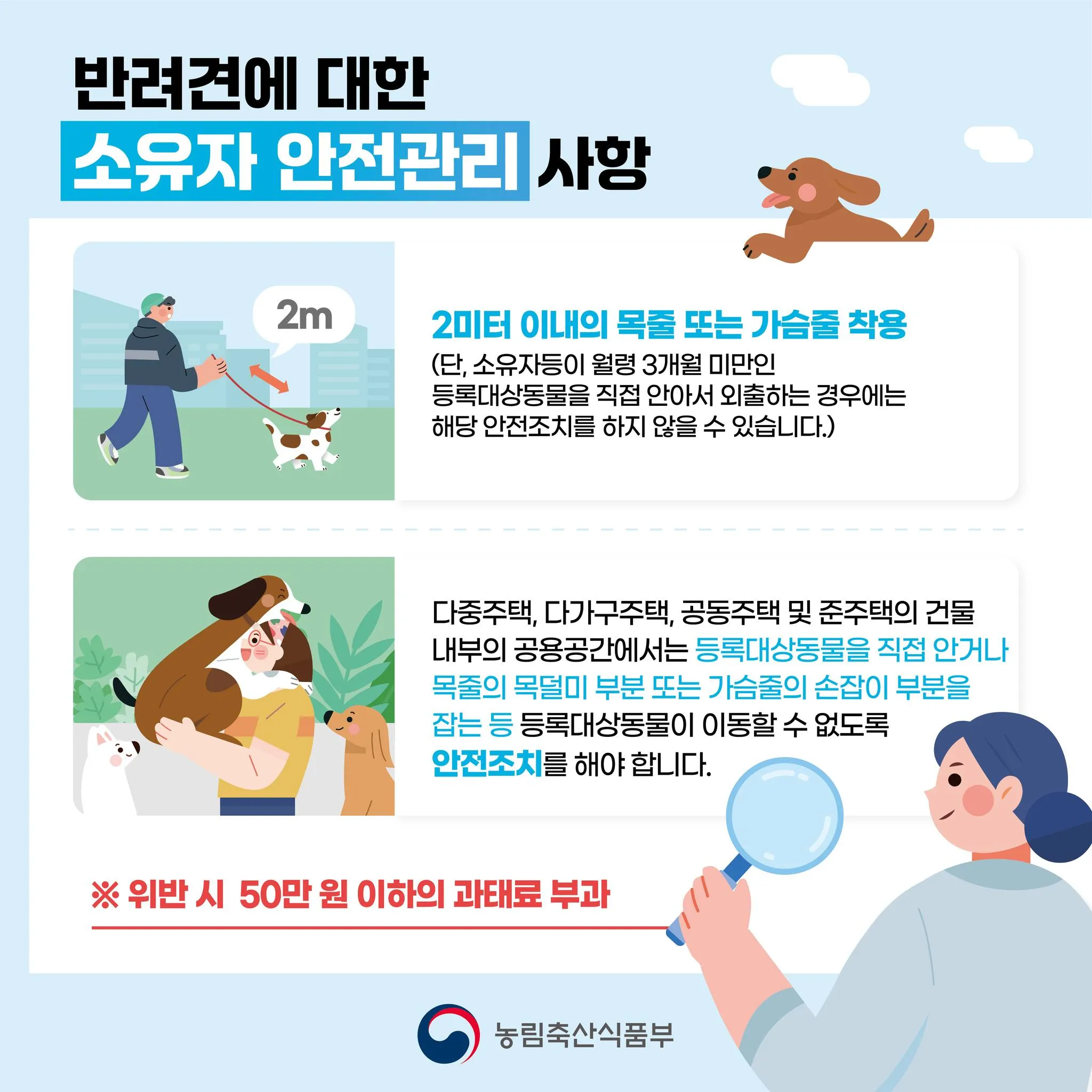 맹견 소유자 관리