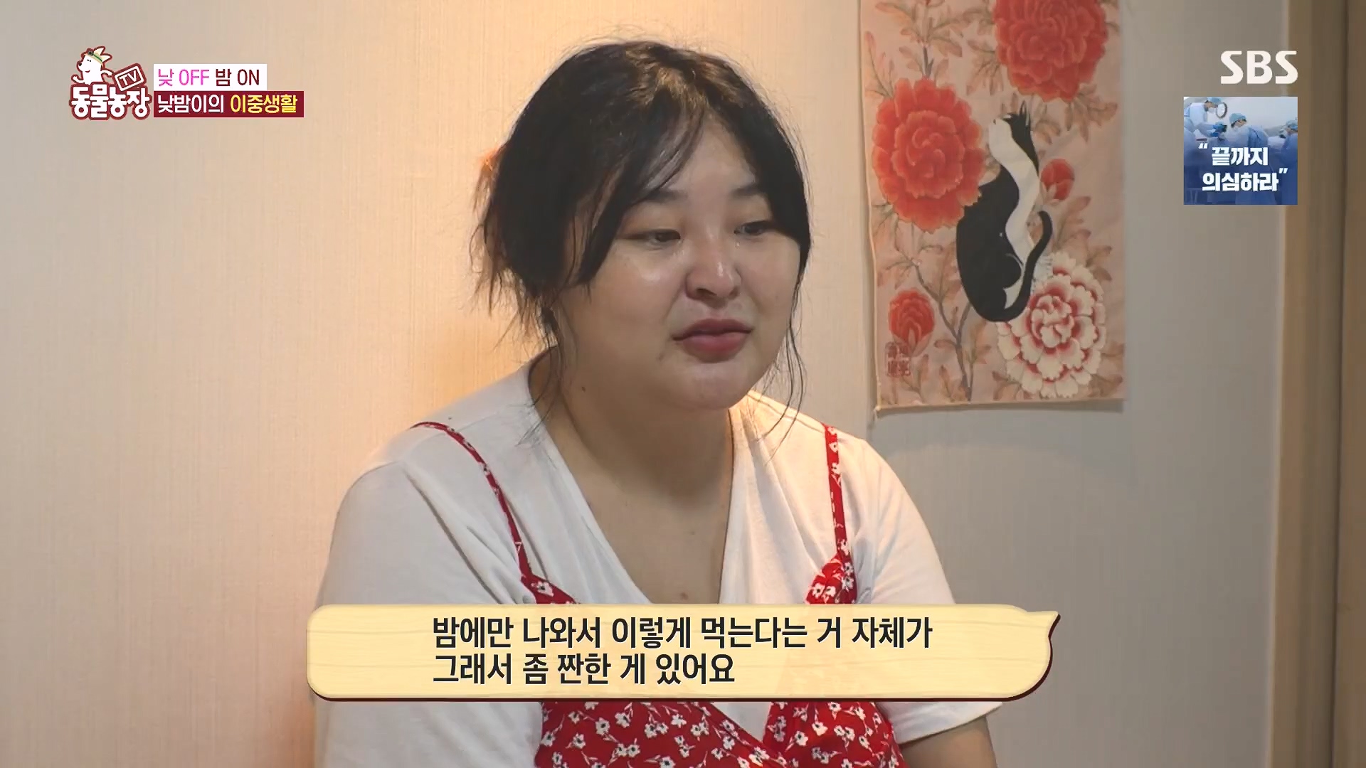 TV 동물농장.E1136.230903p.H264-F1RST.mp4_20230903_180357.333.jpg