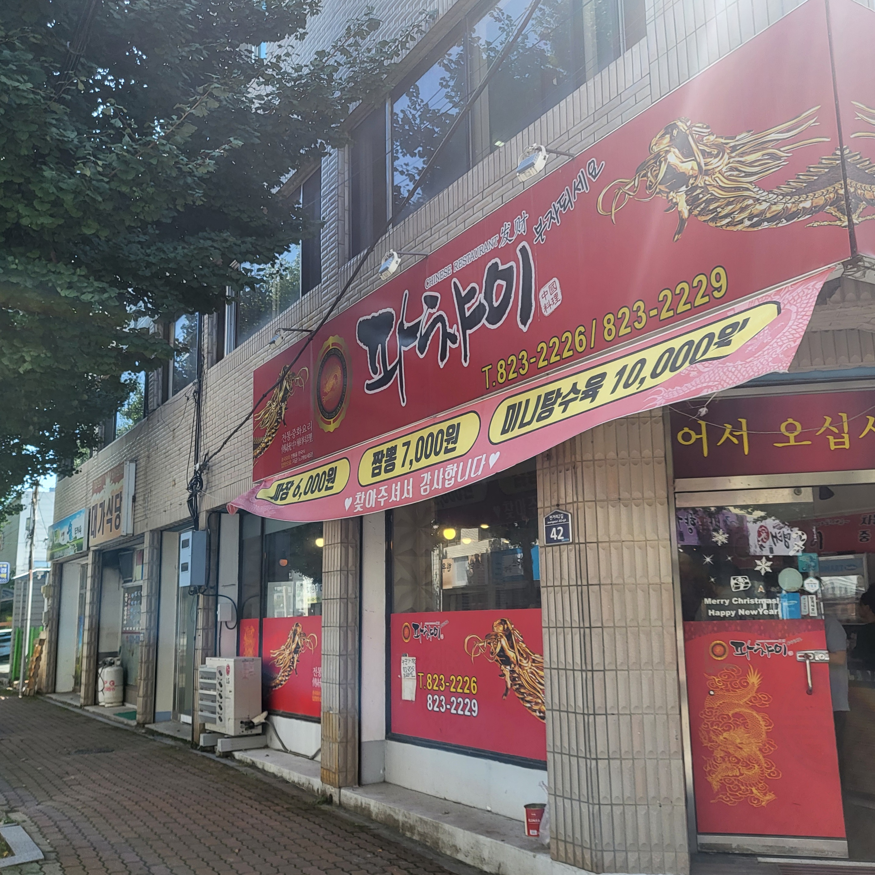 파챠이 이미지