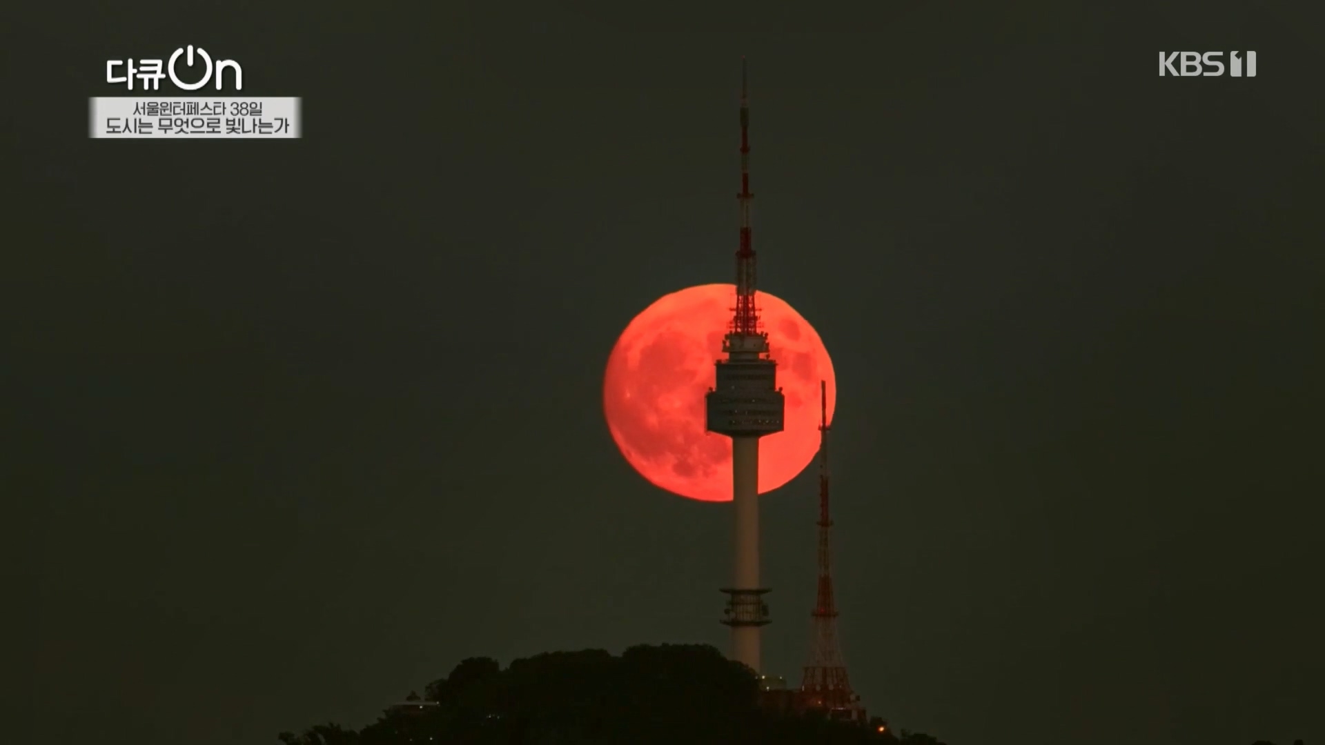 다큐 On.E239.240217p.H264-F1RST.mp4_20240218_170943.649.jpg