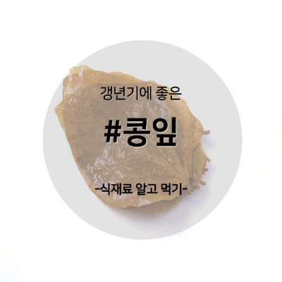 콩잎