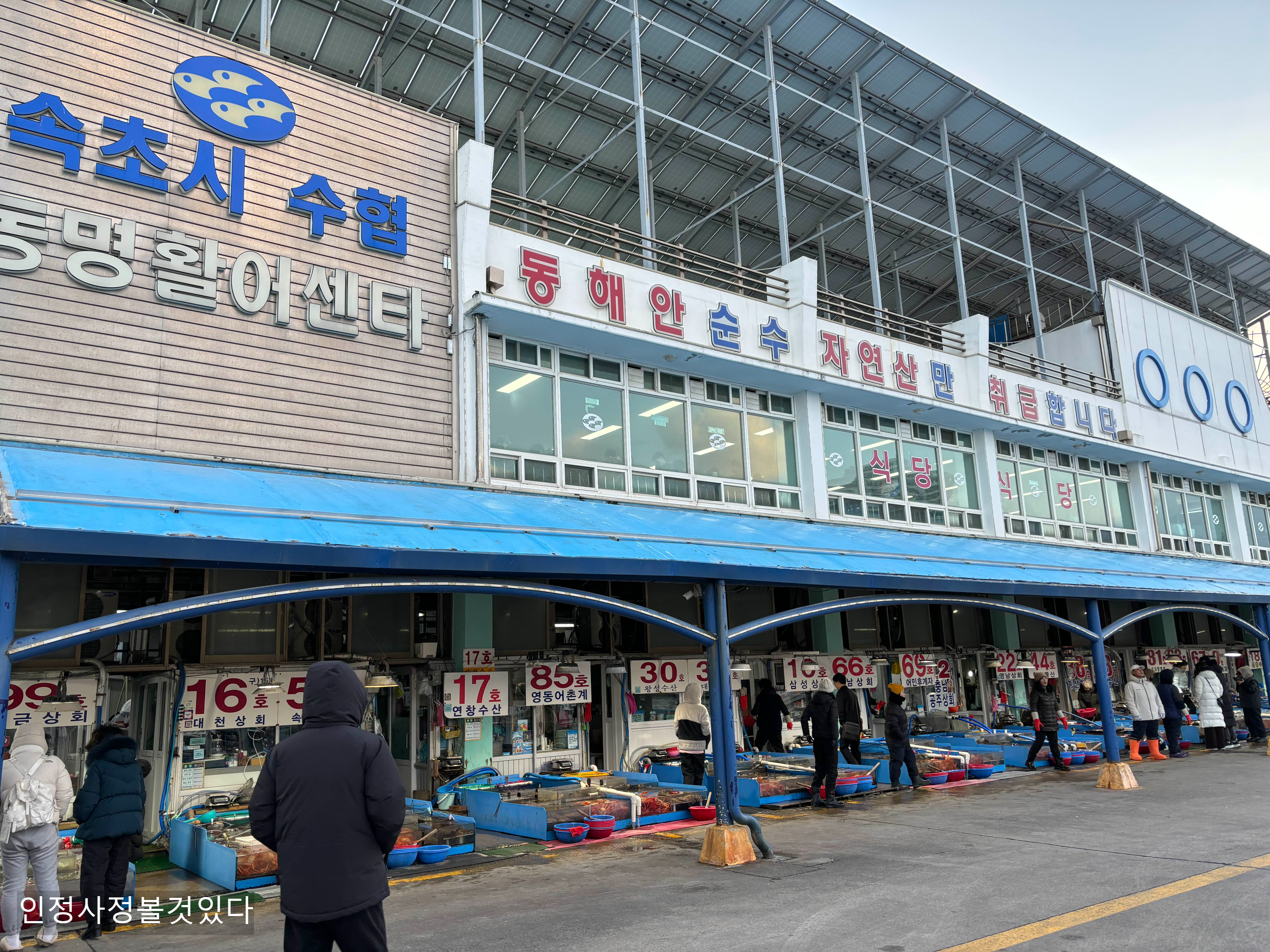 속초상회 이미지