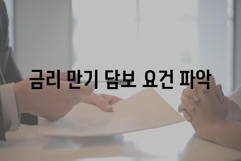 금리, 만기, 담보 요건 파악