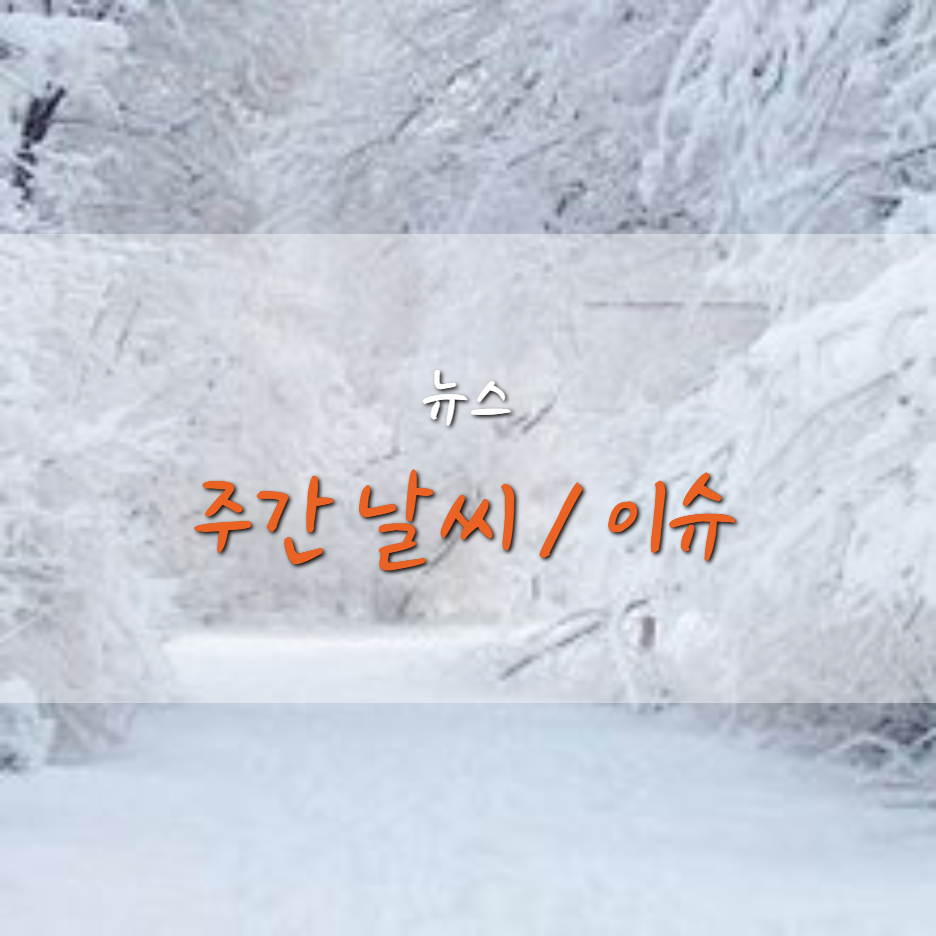  주간 날씨, 초미세먼지 (20년 12월 둘째 주)