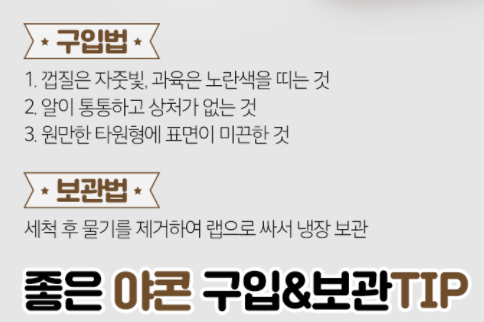 야콘 구입 및 보관법