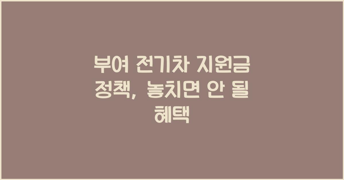 부여 전기차 지원금 정책