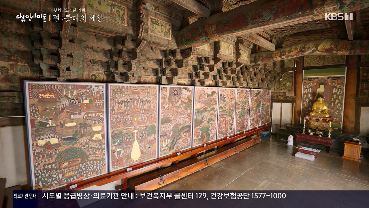 다큐 인사이트.E185.240517p-NEXT.mp4_20240517_202642.862.jpg