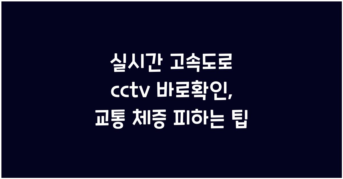 실시간 고속도로 cctv 바로확인