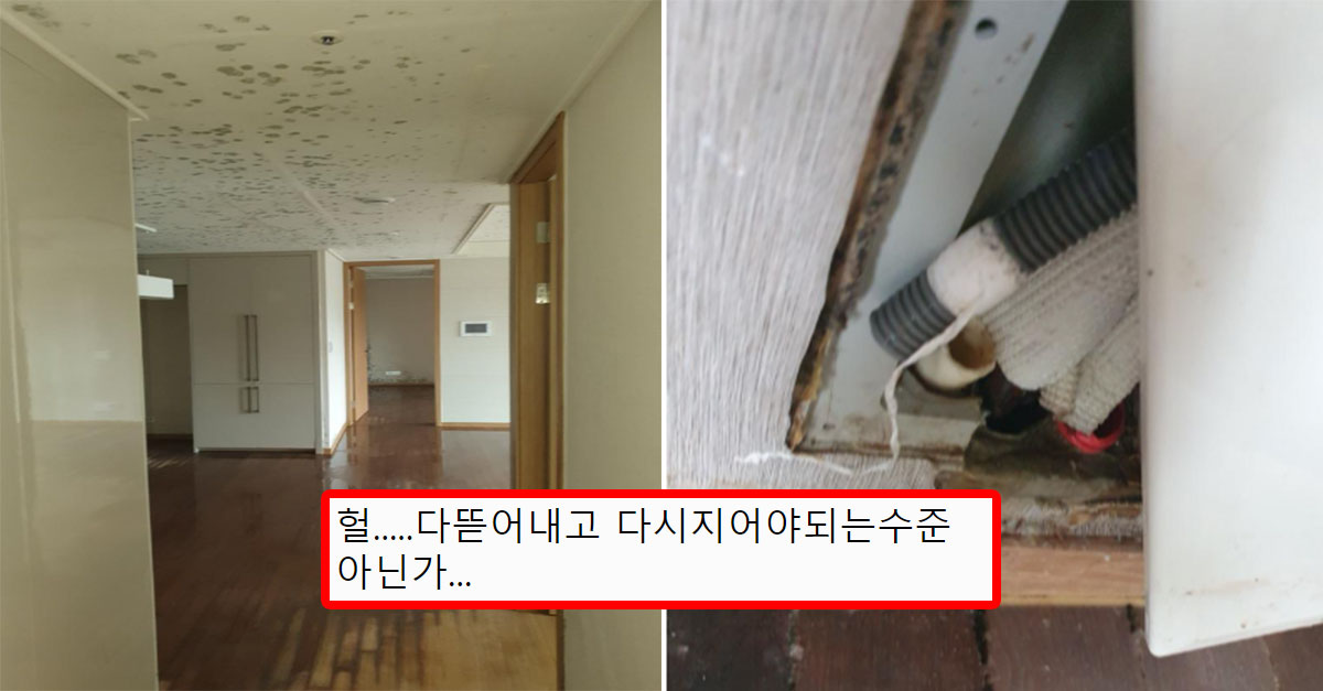  역대급 아파트 하자 사건..