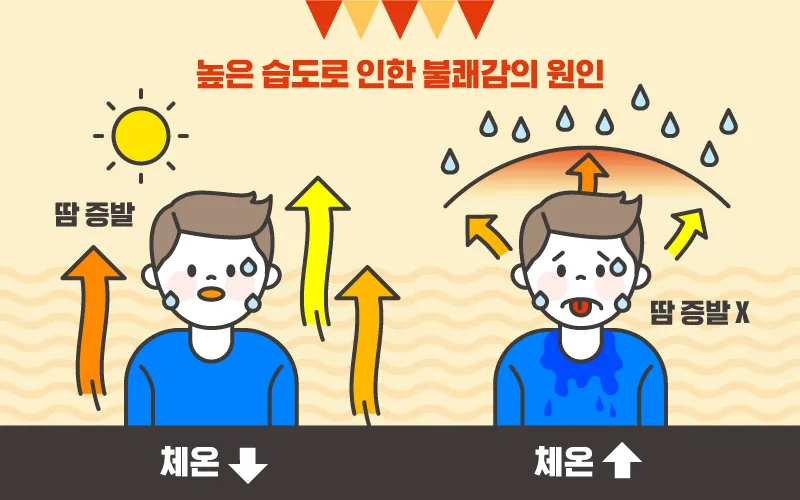여름철 습도 관리 완벽 가이드 건강한 실내 환경_6