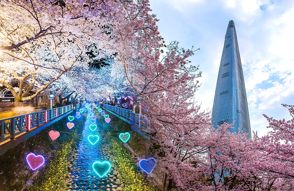 2025년 벚꽃축제 일정 시기 명소_3