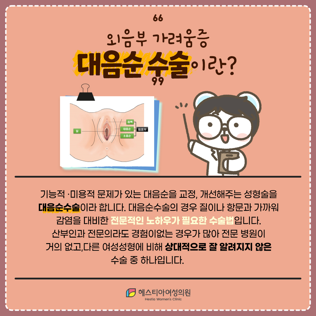 Y존외음부가려움증
대음순수술