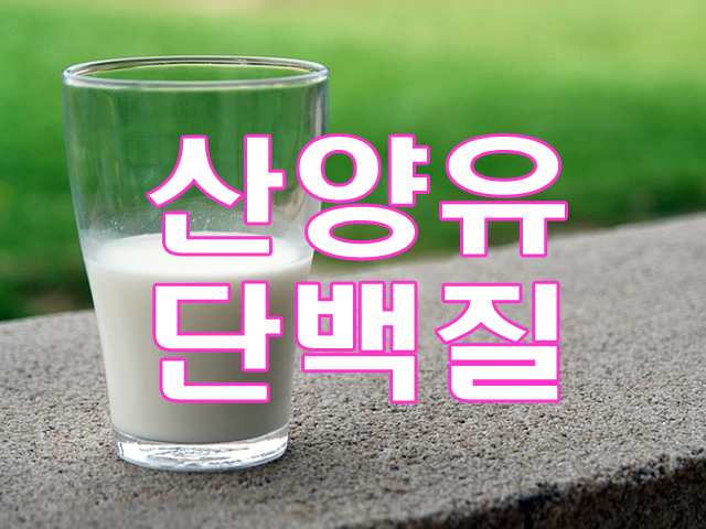 투명한-유리컵에-반쯤-담겨있는-하얀색-우유