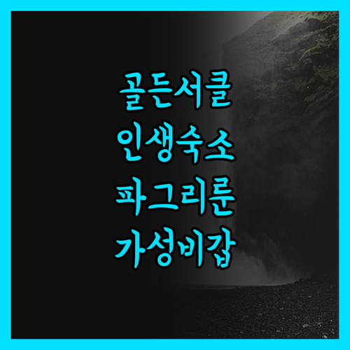 블루 그로브 게스트하우스 파그리룬두르