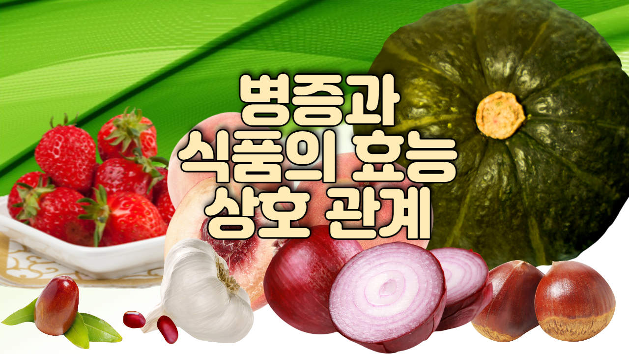  병증과 식품의 효능 상호 관계
