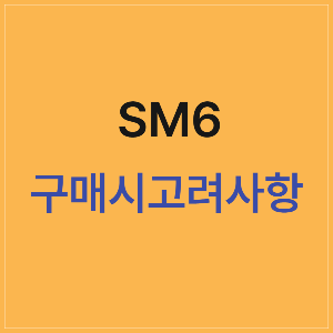 SM6 구매 가이드: 알아두면 유용한 3가지 필수 정보